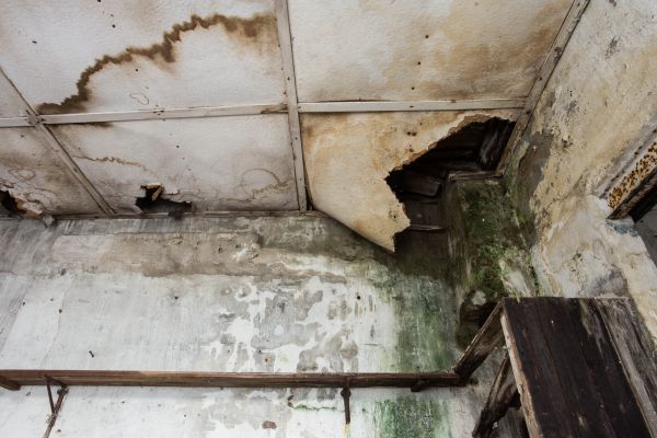 Water Damage Service in Kingwood