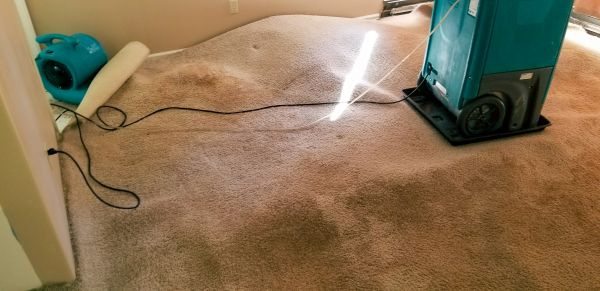 Flood Damage Cleanup in Kingwood