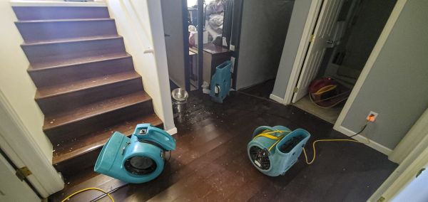 Water Damage Remediation in Kingwood