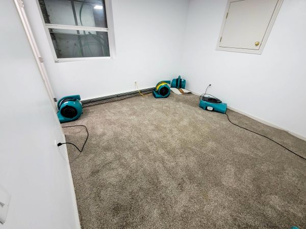 Flood Restoration Service in Kingwood