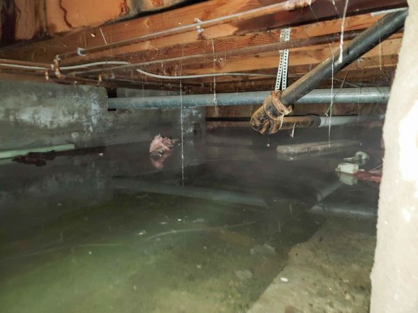 Cost of Crawl Space Drying in Kingwood