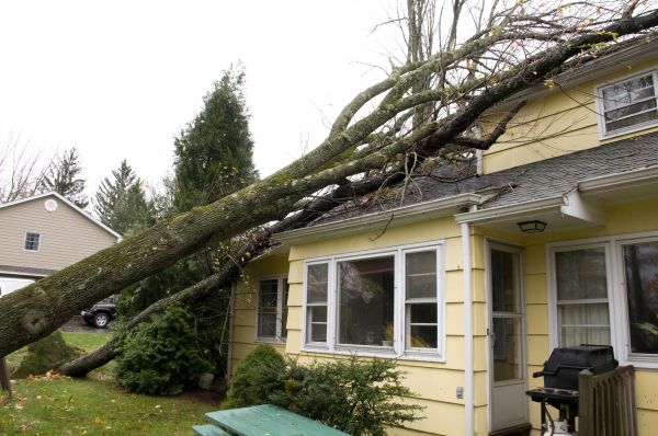 Hurricane Damage Repair in Kingwood